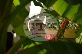 Село Лешница - 100-годишно училище - ремонт