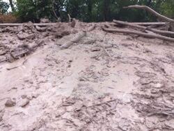 Снимка: АПИ