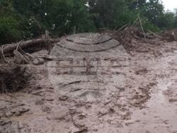 Снимка: АПИ