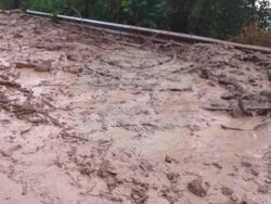 Снимка: АПИ