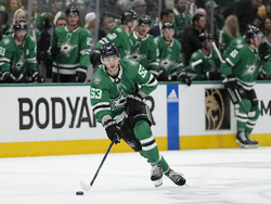 Golden Knights Stars Hockey
