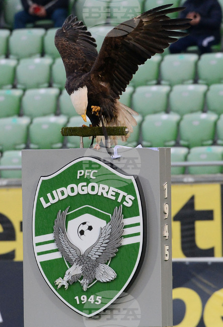 Лудогорец отново е шампион и вече изостава с 12 титли от Левски