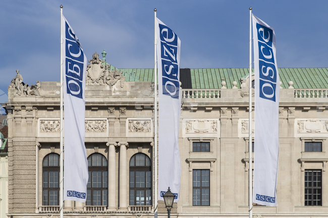 Парламентарните избори в Молдова бяха конкурентни, но помрачени от сериозна чуждестранна намеса, заявиха международните наблюдатели от ОССЕ