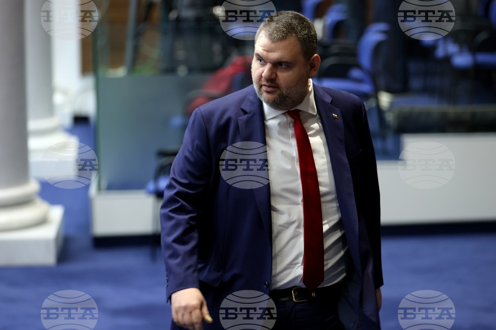 Парламент - заседание - Делян Пеевски