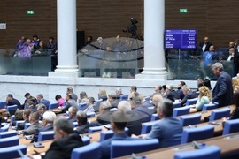 Парламент - заседание - енергетици - пленарна зала