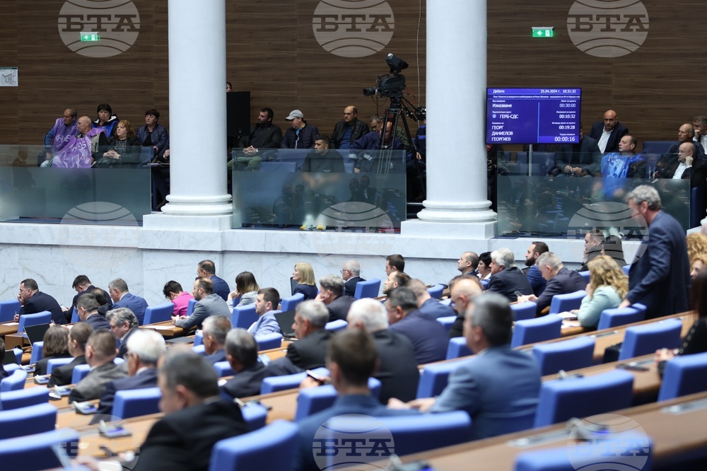 Парламент - заседание - енергетици - пленарна зала