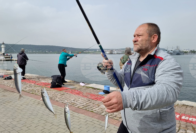 Варна - риболовци - сафрид