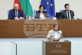 Парламент - заседание - Корнелия Нинова