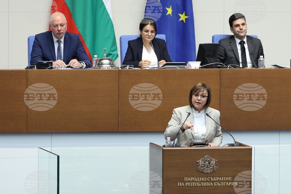 Парламент - заседание - Корнелия Нинова