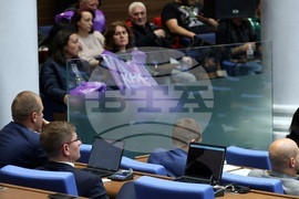Парламент - заседание - енергетици - пленарна зала