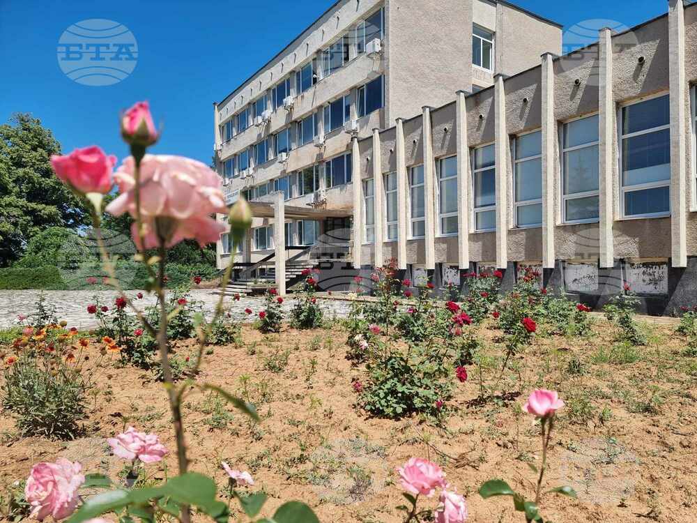 Очаква се добра реколта от череши през тази година, каза заместник-директорът на Института по земеделие в Кюстендил проф. д-р Димитър Сотиров