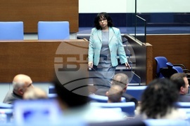 Парламент - заседание - Теменужка Петкова