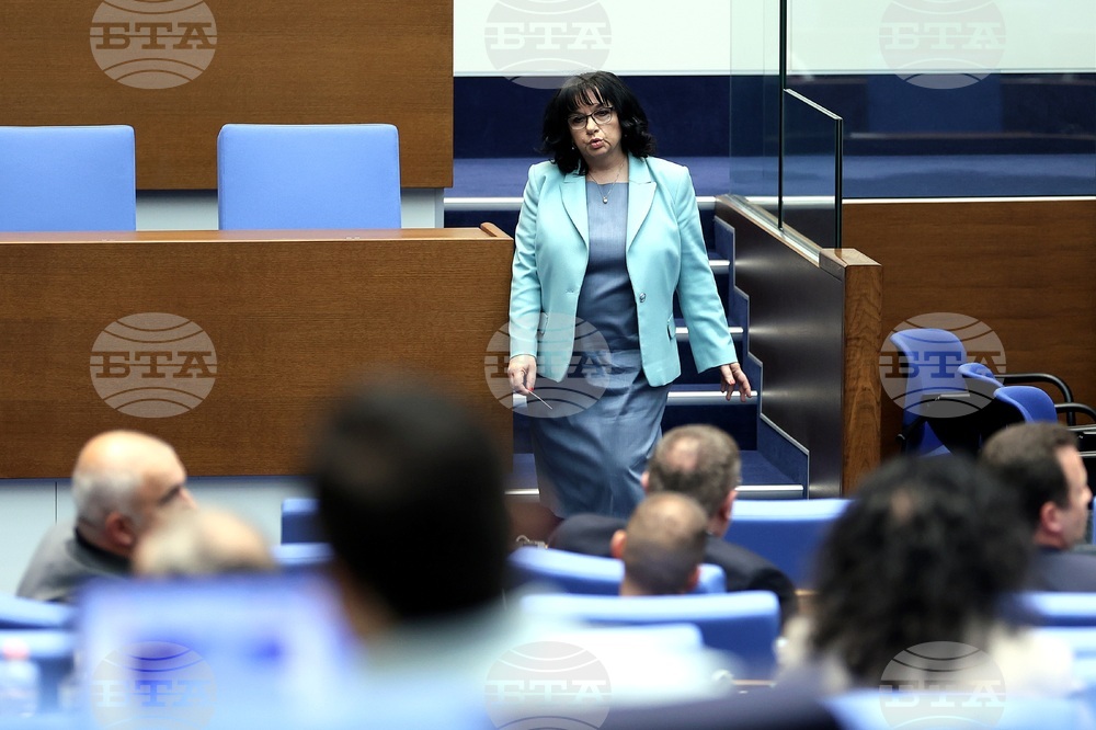 Парламент - заседание - Теменужка Петкова