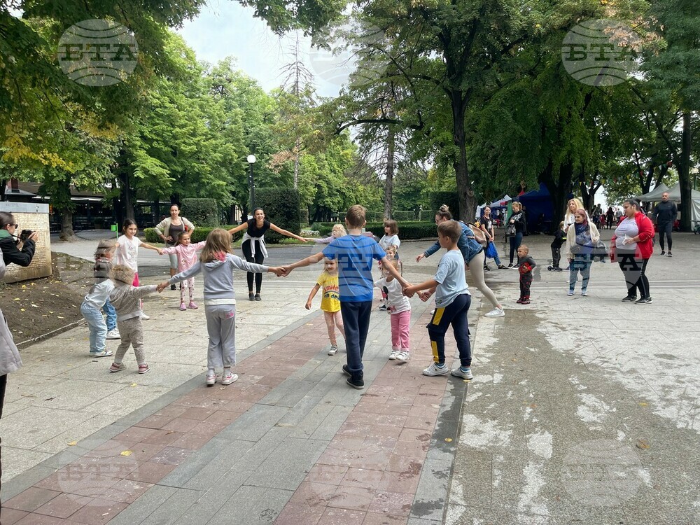 Куклен театър на МФФ „Синия Дунав“