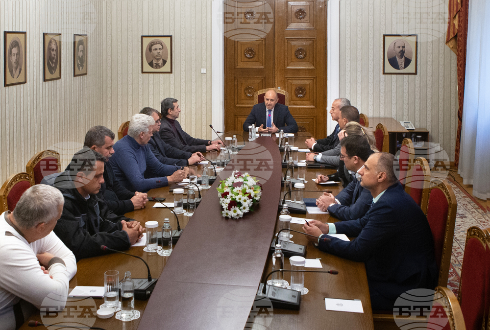 Президентство - Румен Радев - енергетици - среща