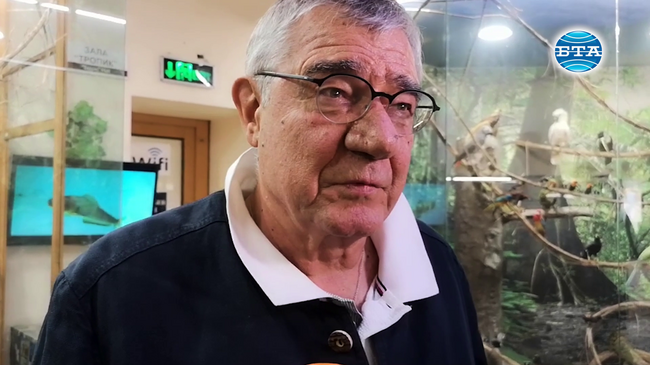 В специален аквариум в Пловдивския природонаучен музей успешно се адаптира риба от вида „Нототения“ от Антарктида