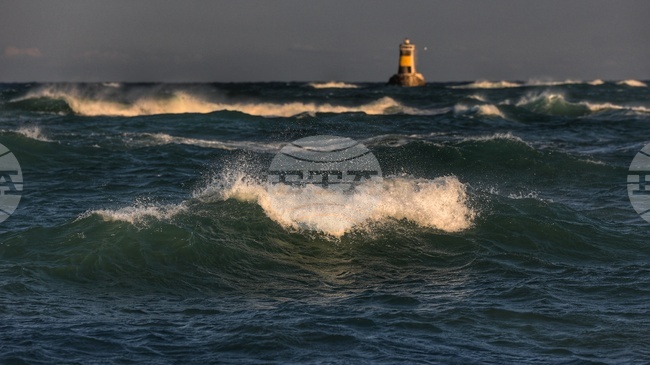 Ръководство за морска екологична грамотност за Черно море насърчава хората да станат по-съпричастни към проблемите на морските екосистеми