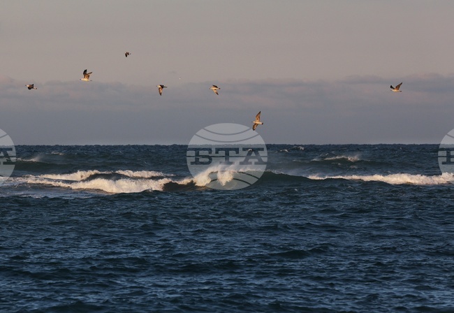Поморие ще отбележи Йордановден с литургии и традиционно изваждане на богоявленския кръст от Черно море