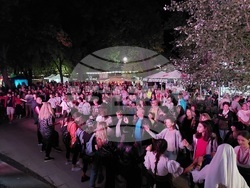 Снимка: Община Видин