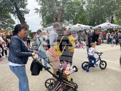 Снимка: Община Видин