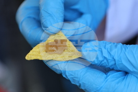 Пловдив - Ден на отворените врати в Университета по хранителни технологии (УХТ)