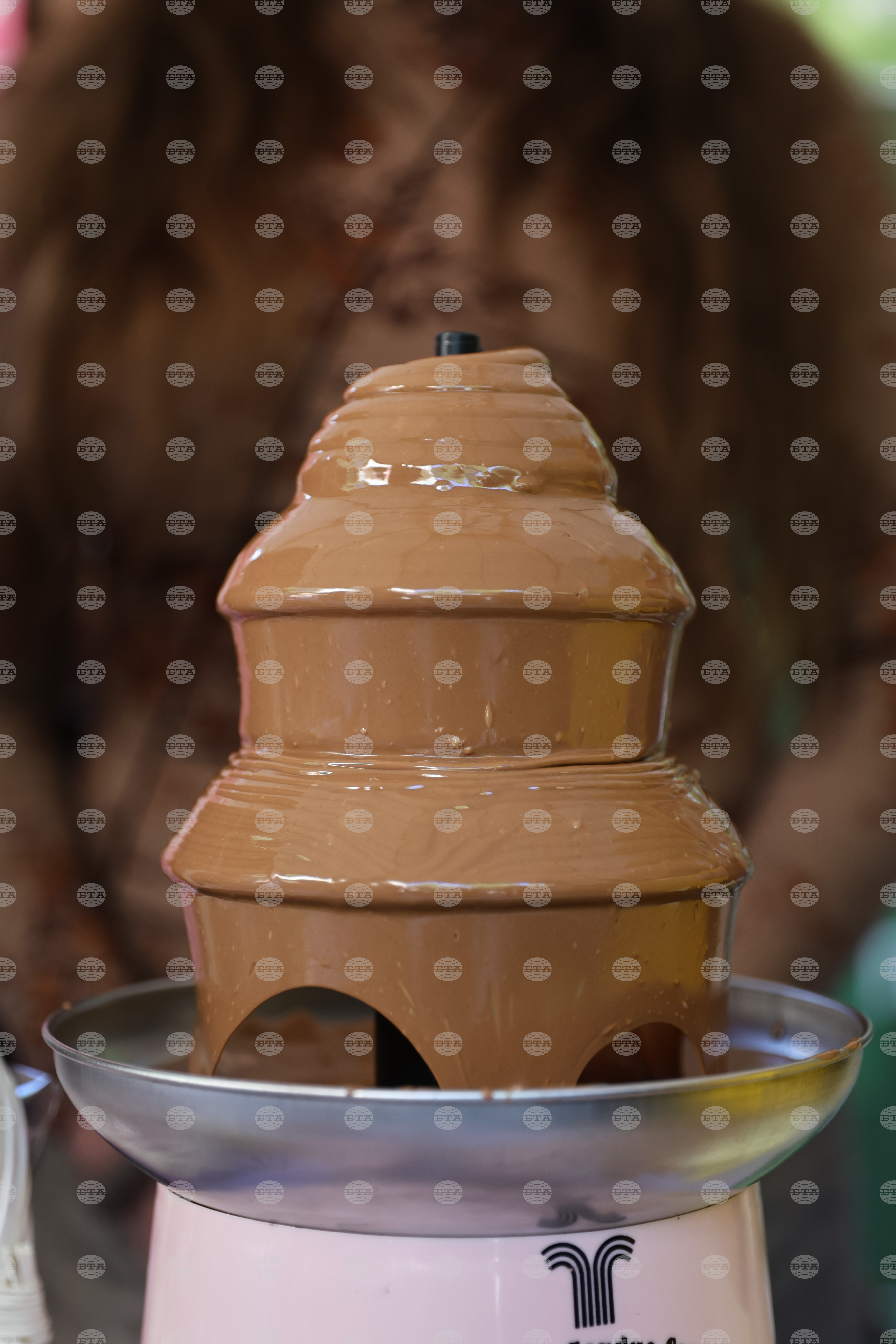 Пловдив - Ден на отворените врати в Университета по хранителни технологии (УХТ)