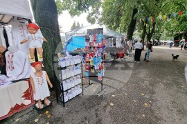 Видин - Международен фолклорен фестивал „Синия Дунав“