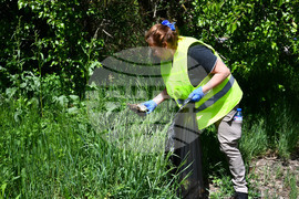 Село Свещари - инициатива "Зелен дъб" - пролетно почистване