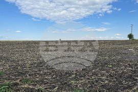 Село Зетьово - градушка - последици