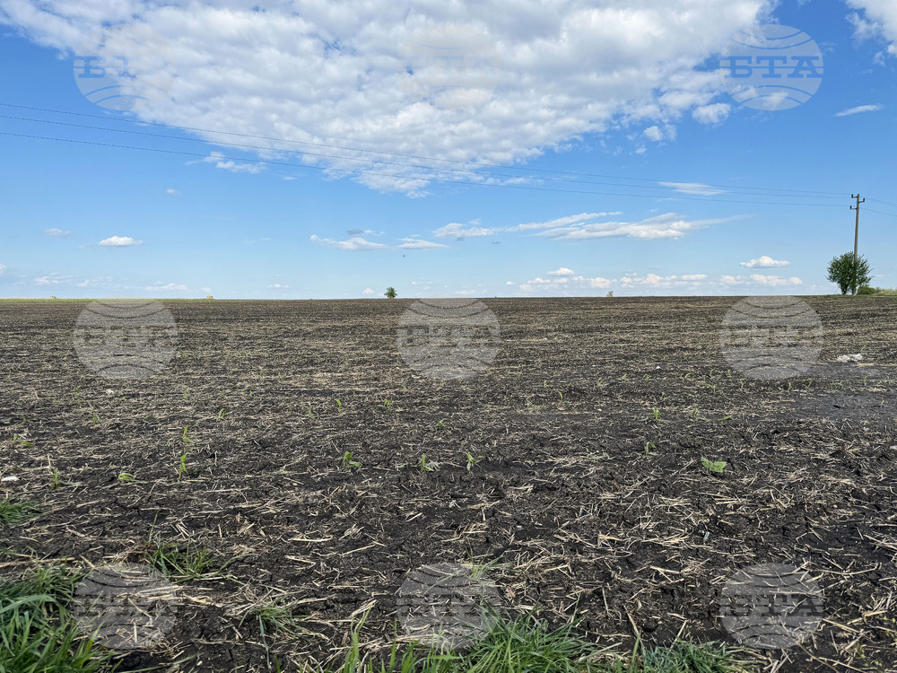 Село Зетьово - градушка - последици