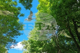 Румъния - Великденски панаир