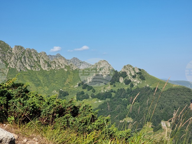 Парапланерист е паднал върху скали в района на Габрово, оказана му е помощ, съобщиха от Планинската спасителна служба на БЧК 