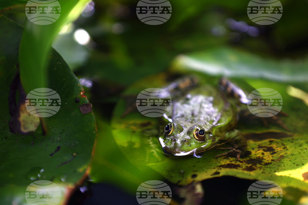 The Weather on November 29 