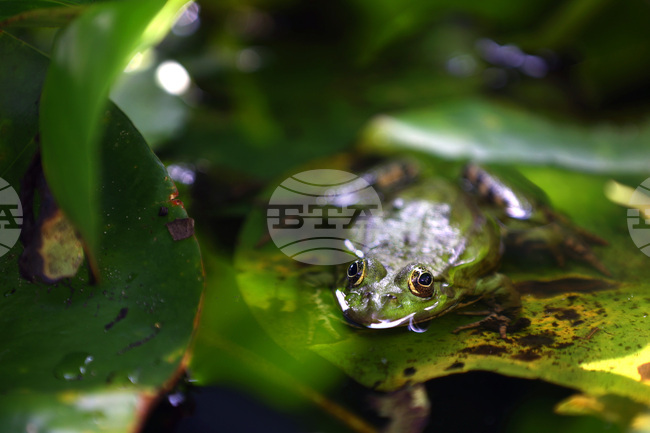 The Weather on November 29 