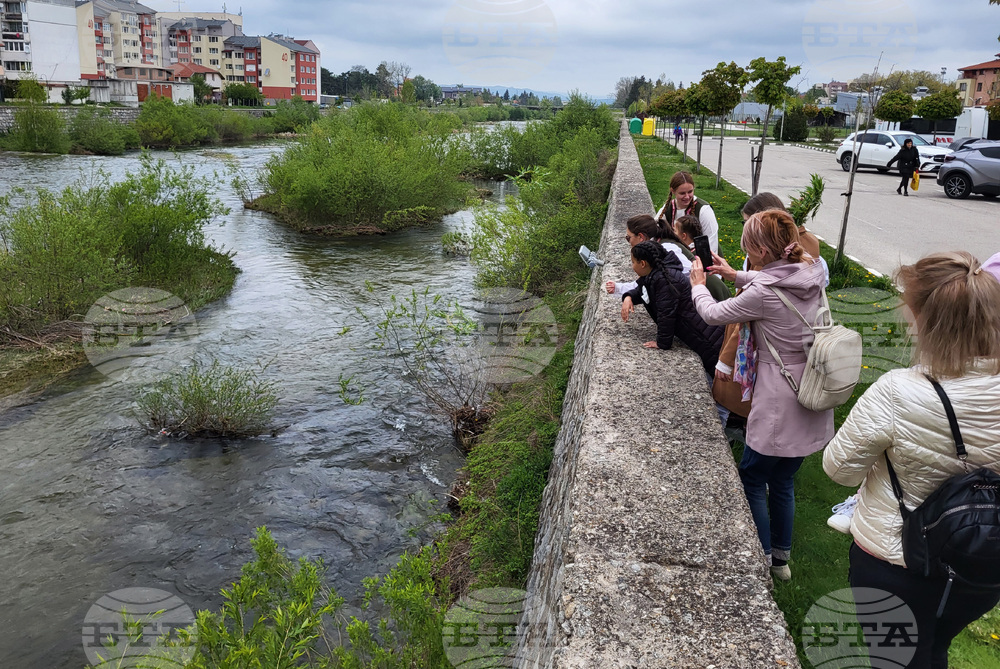 Самоков - Лазаровден