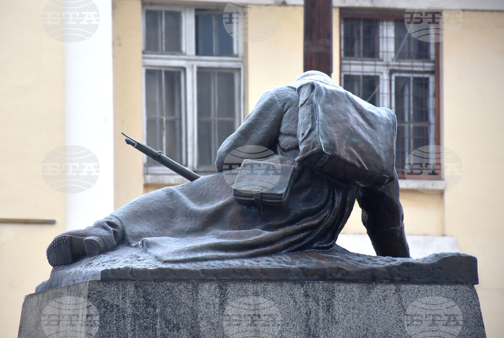 Видин - Скърбящият войн - паметник