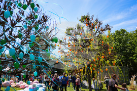 Бургас - „Флора 2024“ - национална изложба на цветя