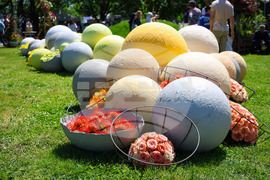 Бургас - „Флора 2024“ - национална изложба на цветя