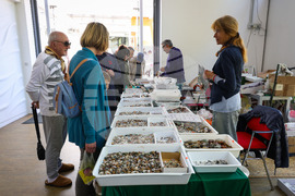 Бургас - „Флора 2024“ - национална изложба на цветя