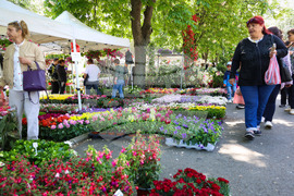 Бургас - „Флора 2024“ - национална изложба на цветя