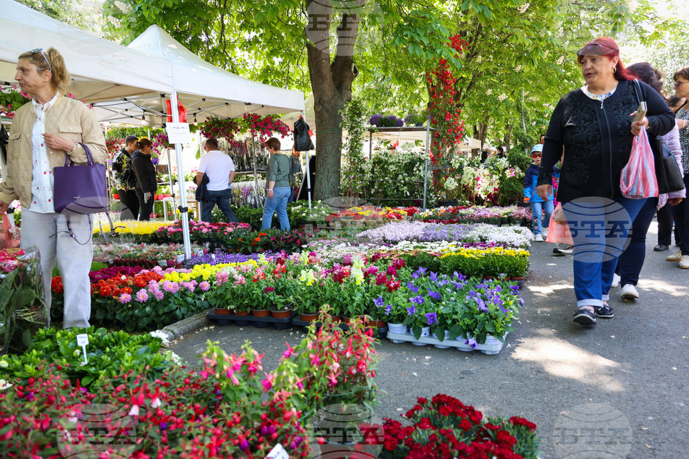 Бургас - „Флора 2024“ - национална изложба на цветя