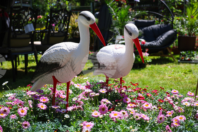 Бургас - „Флора 2024“ - национална изложба на цветя