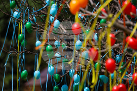 Бургас - „Флора 2024“ - национална изложба на цветя