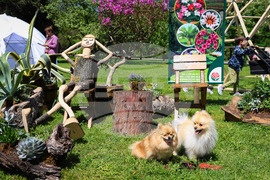 Бургас - „Флора 2024“ - национална изложба на цветя