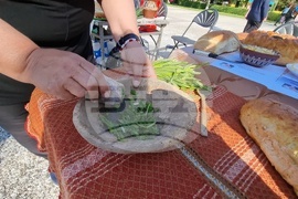 Нова Загора - самардала - празник