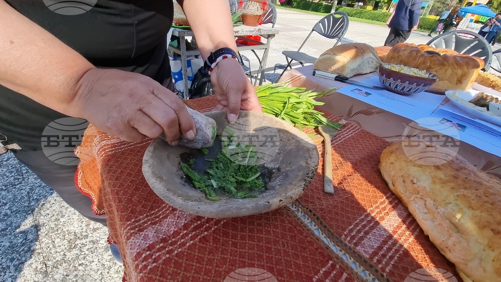 Нова Загора - самардала - празник