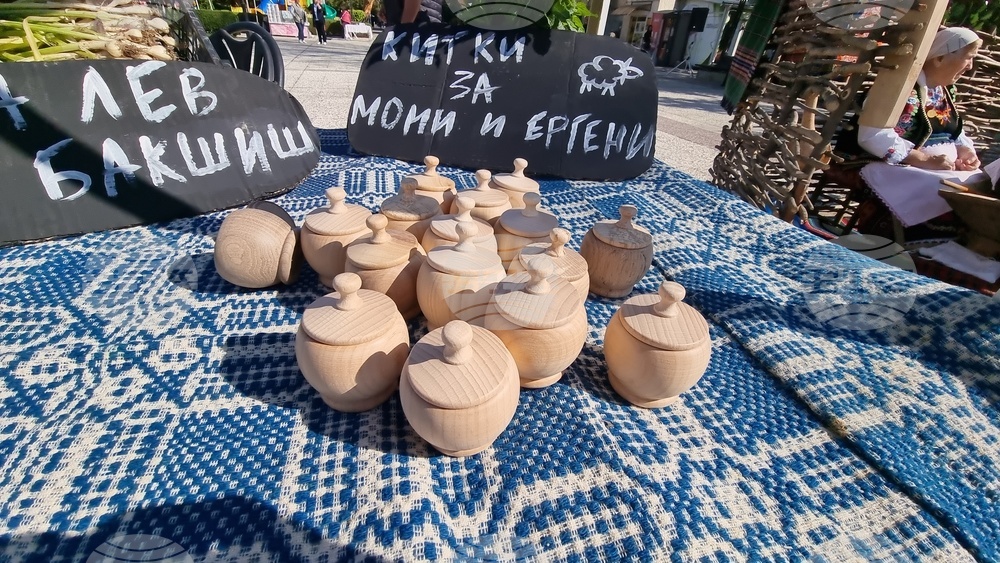 Нова Загора - самардала - празник