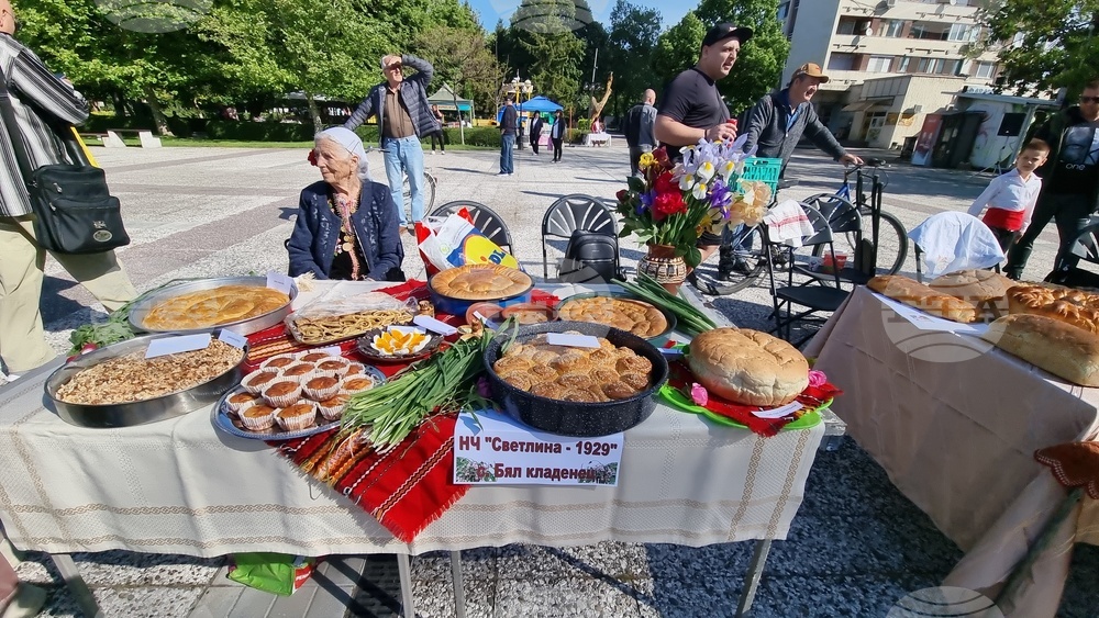 Нова Загора - самардала - празник