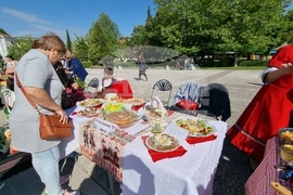 Нова Загора - самардала - празник