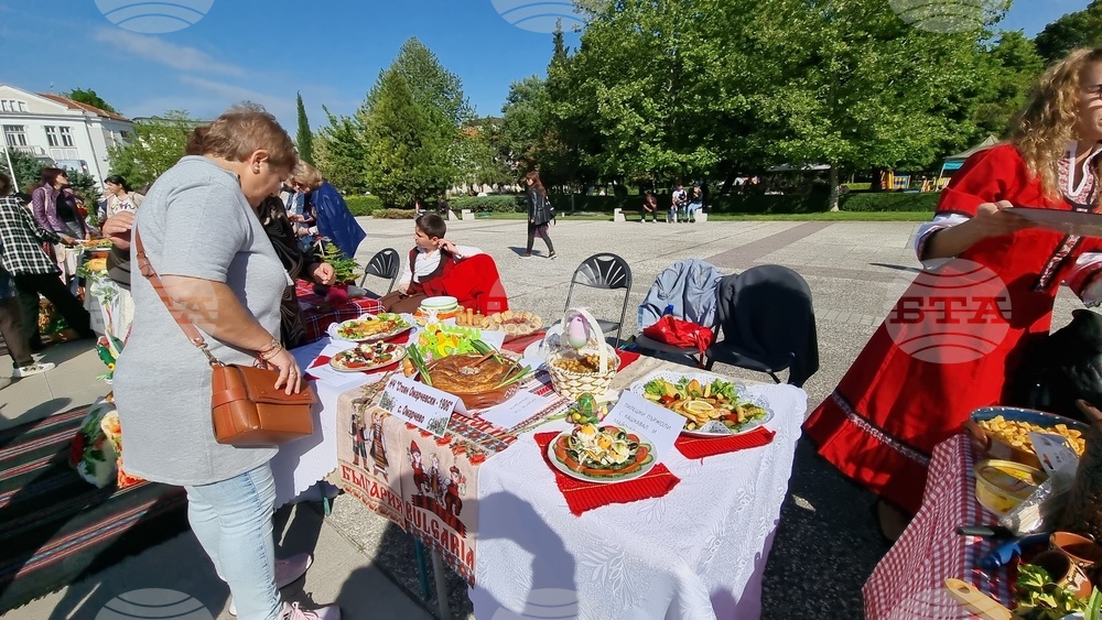 Нова Загора - самардала - празник